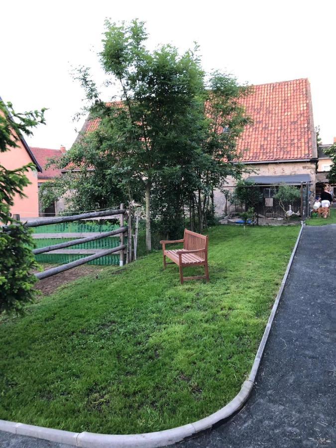 Ferienwohnung Gans Auguste Dohna ภายนอก รูปภาพ