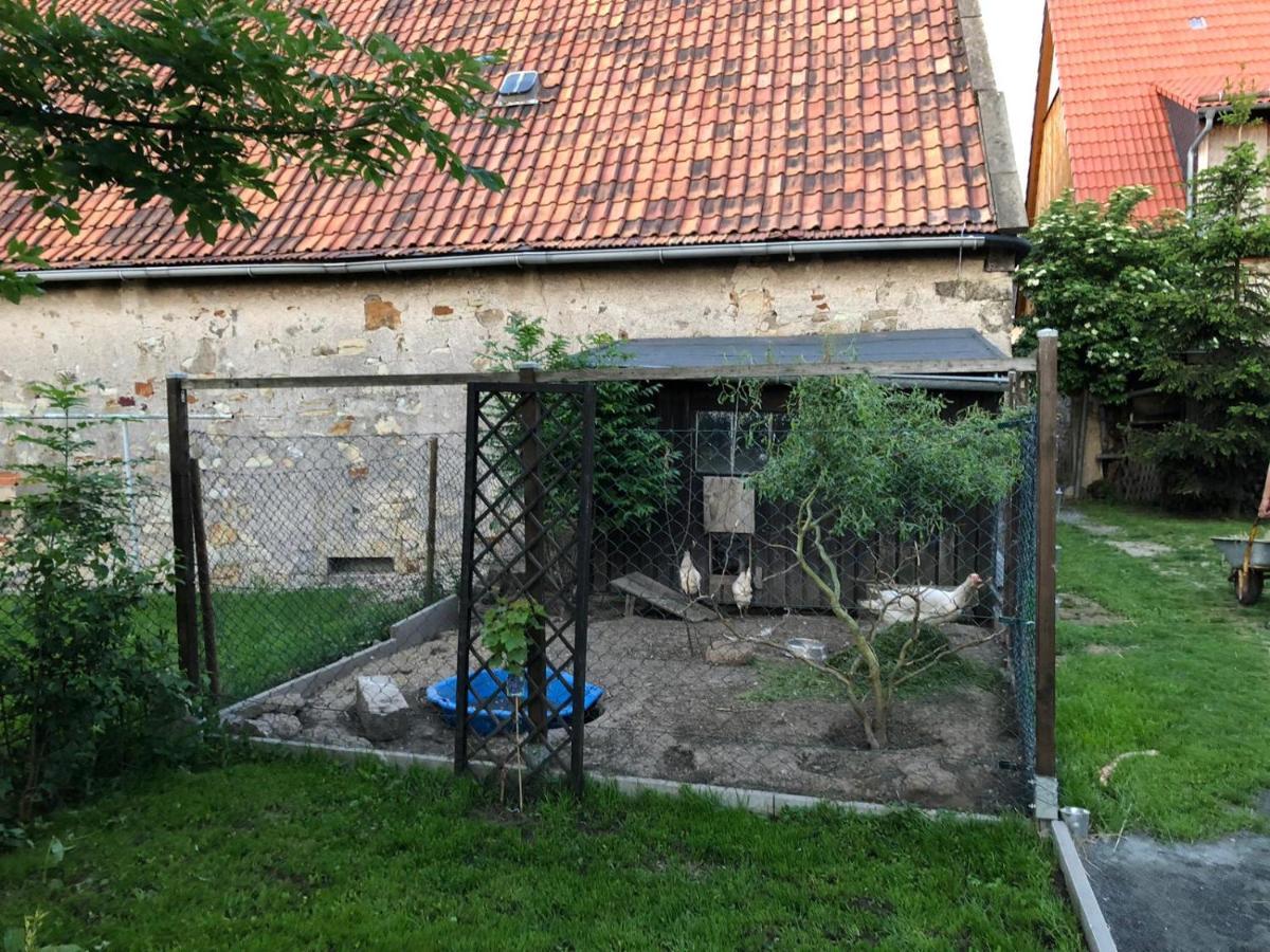 Ferienwohnung Gans Auguste Dohna ภายนอก รูปภาพ